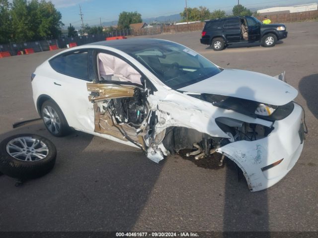 TESLA MODEL Y 2023 7saygdee3pf669081