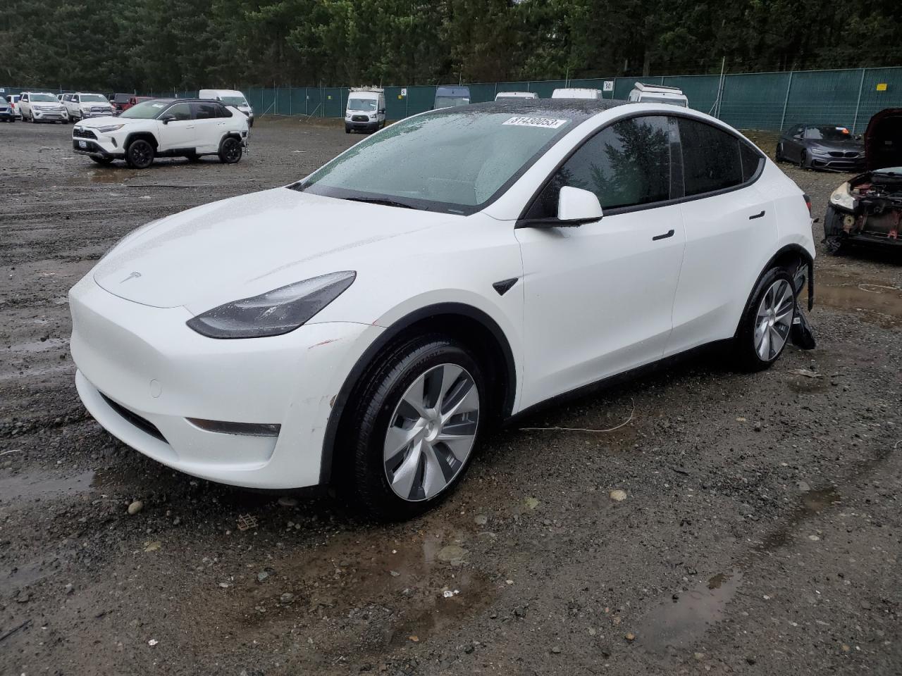 TESLA MODEL Y 2023 7saygdee3pf684440