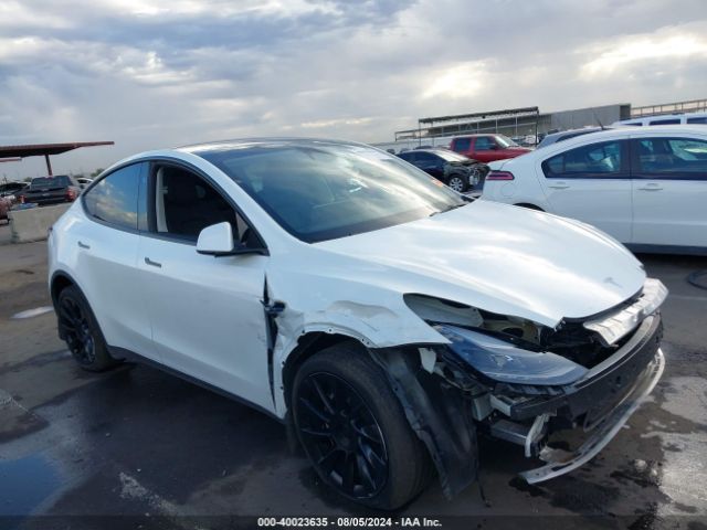 TESLA MODEL Y 2023 7saygdee3pf792623