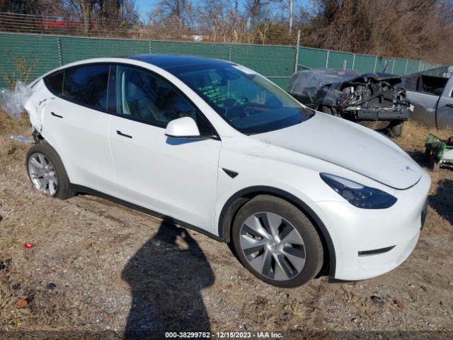 TESLA MODEL Y 2023 7saygdee3pf802504