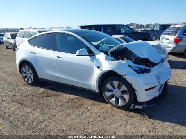 TESLA MODEL Y 2023 7saygdee3pf813034