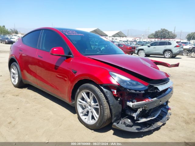 TESLA MODEL Y 2024 7saygdee3ra249708