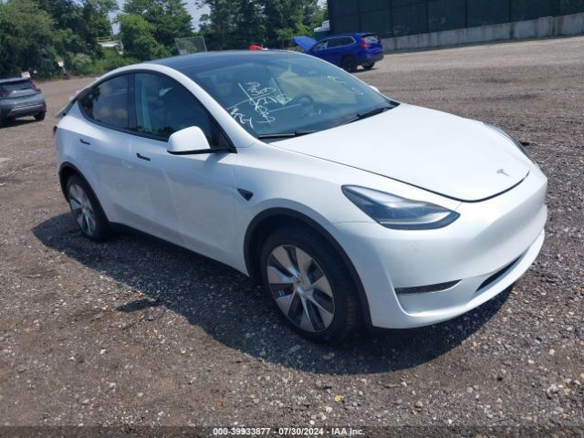 TESLA MODEL Y 2024 7saygdee3ra290985