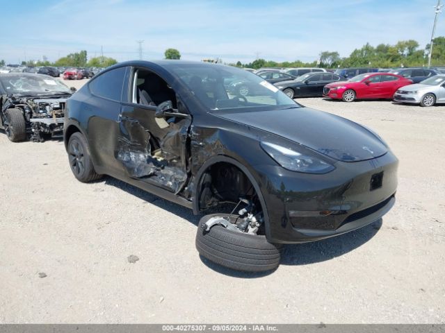 TESLA MODEL Y 2024 7saygdee3rf166136