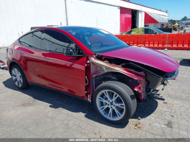 TESLA MODEL Y 2024 7saygdee3rf993747