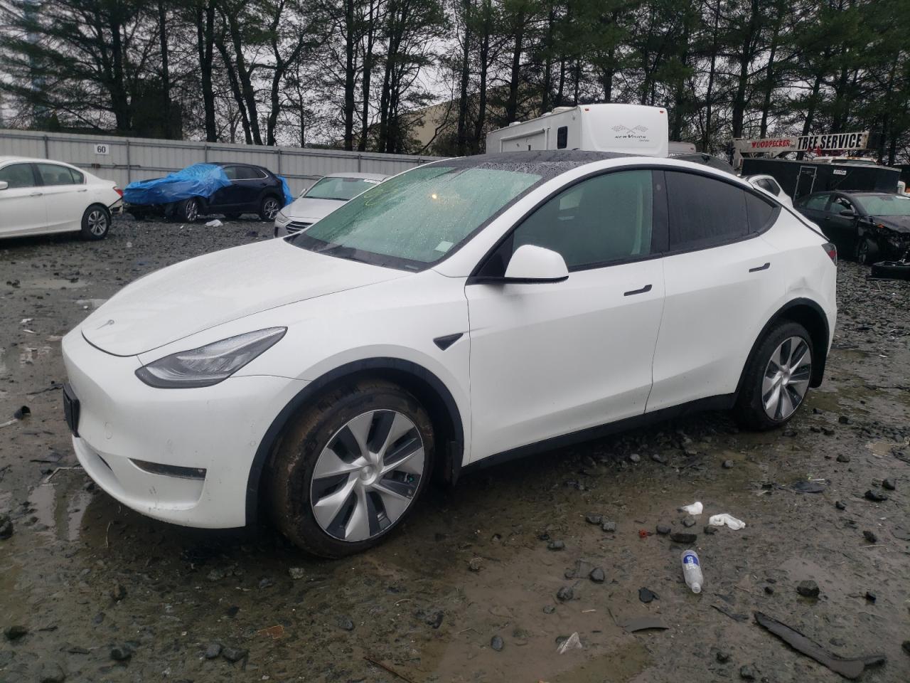 TESLA MODEL Y 2022 7saygdee4nf318936