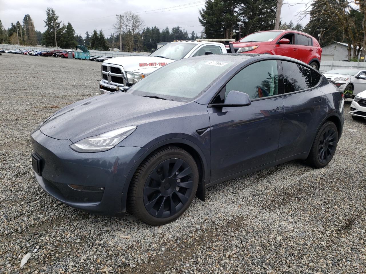 TESLA MODEL Y 2022 7saygdee4nf322520