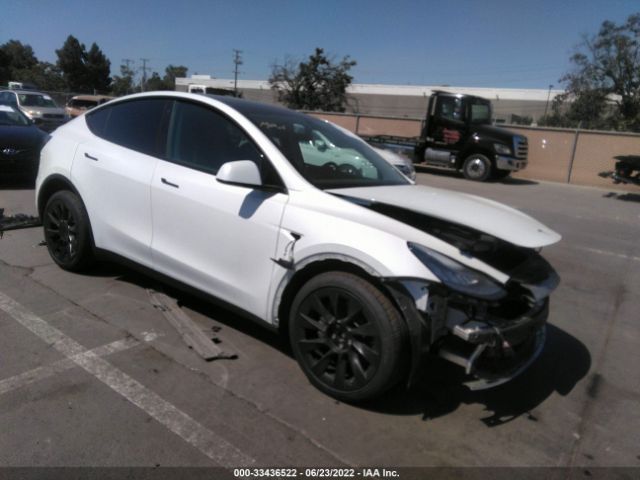 TESLA MODEL Y 2022 7saygdee4nf345411