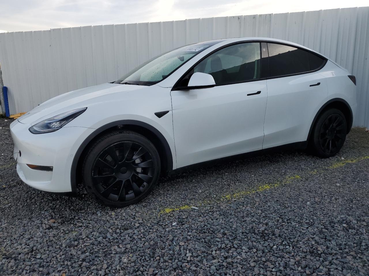 TESLA MODEL Y 2022 7saygdee4nf385634