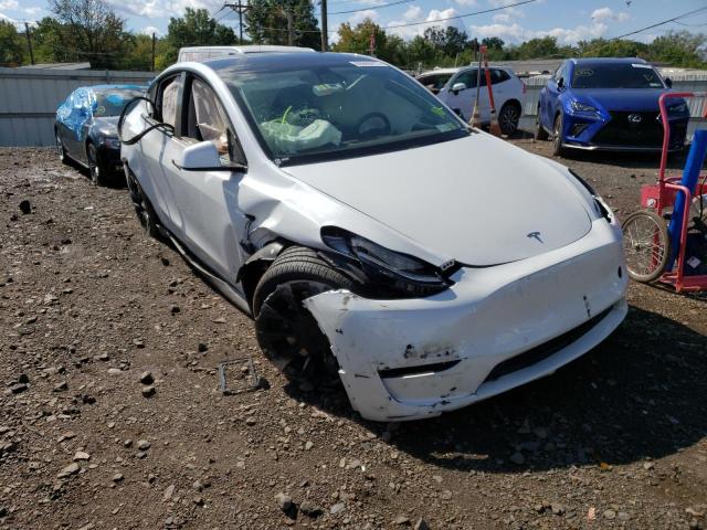 TESLA MODEL Y 2022 7saygdee4nf387464