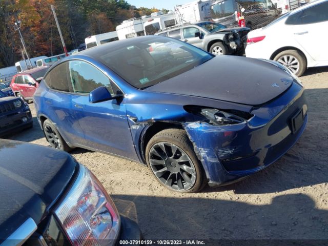 TESLA MODEL Y 2022 7saygdee4nf416137