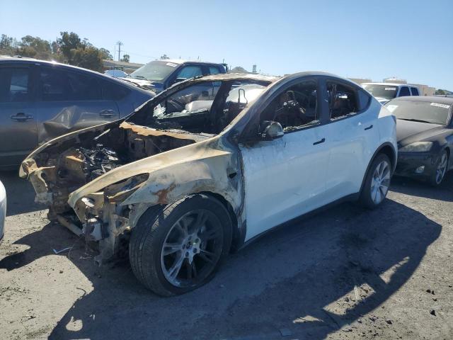 TESLA MODEL Y 2022 7saygdee4nf513824