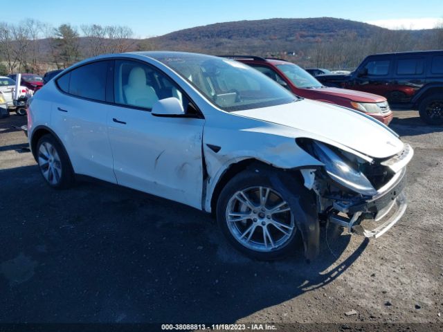 TESLA MODEL Y 2023 7saygdee4pa100690