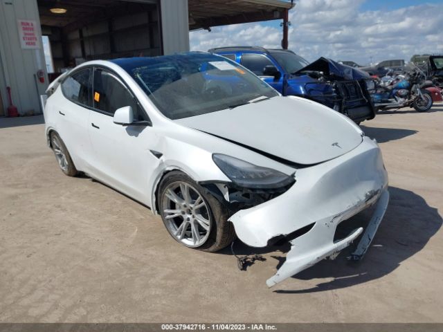 TESLA MODEL Y 2023 7saygdee4pa146892