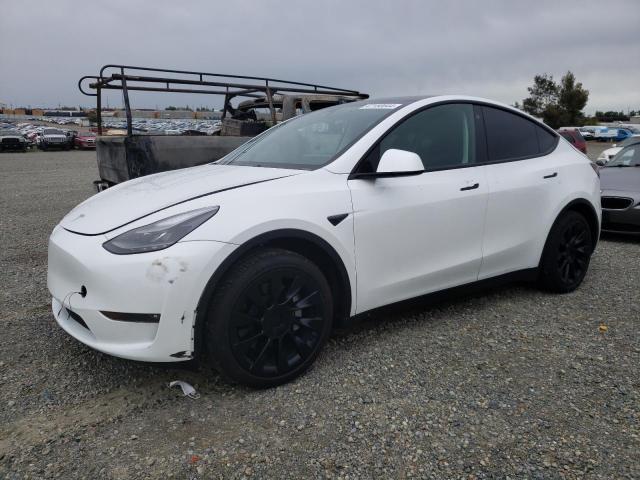 TESLA MODEL Y 2023 7saygdee4pf609570