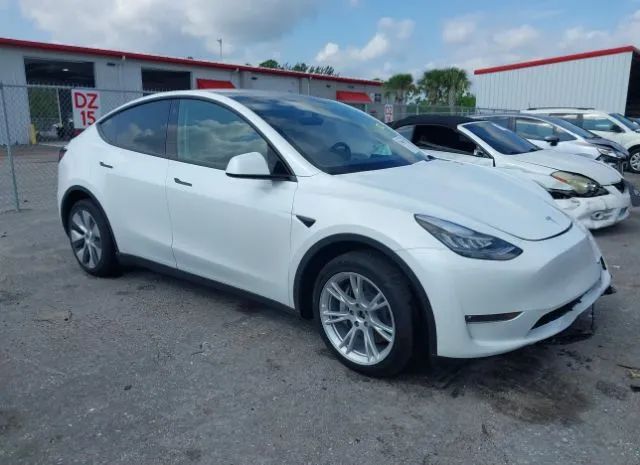 TESLA MODEL Y 2023 7saygdee4pf613909