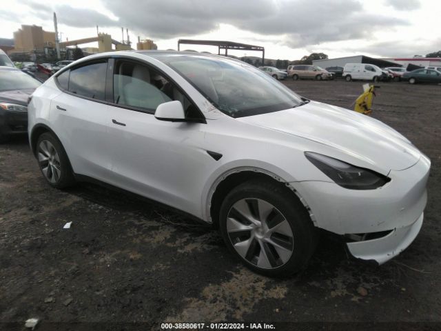 TESLA MODEL Y 2023 7saygdee4pf629804