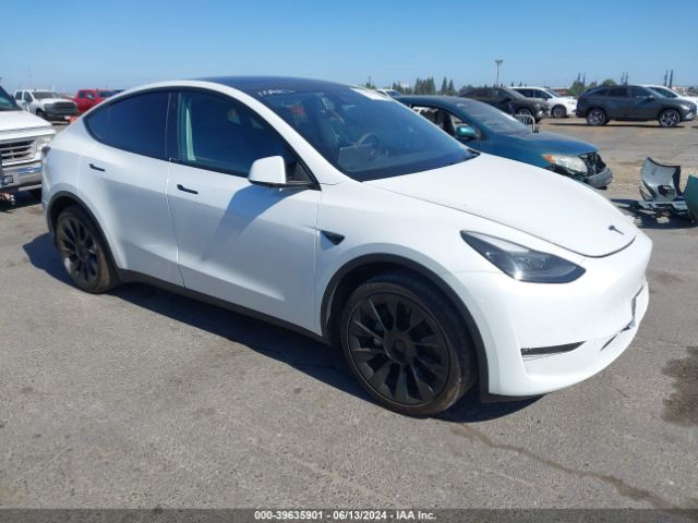 TESLA MODEL Y 2023 7saygdee4pf676704