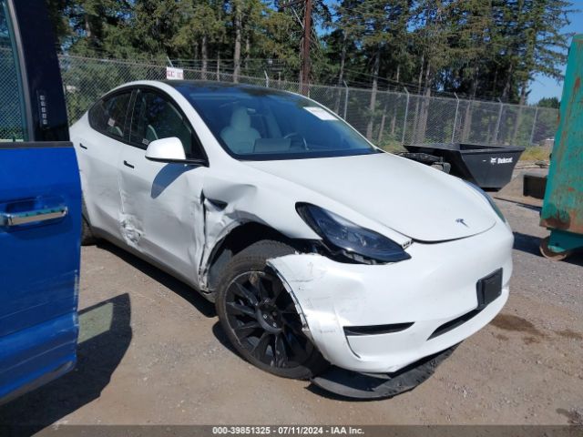 TESLA MODEL Y 2023 7saygdee4pf751224