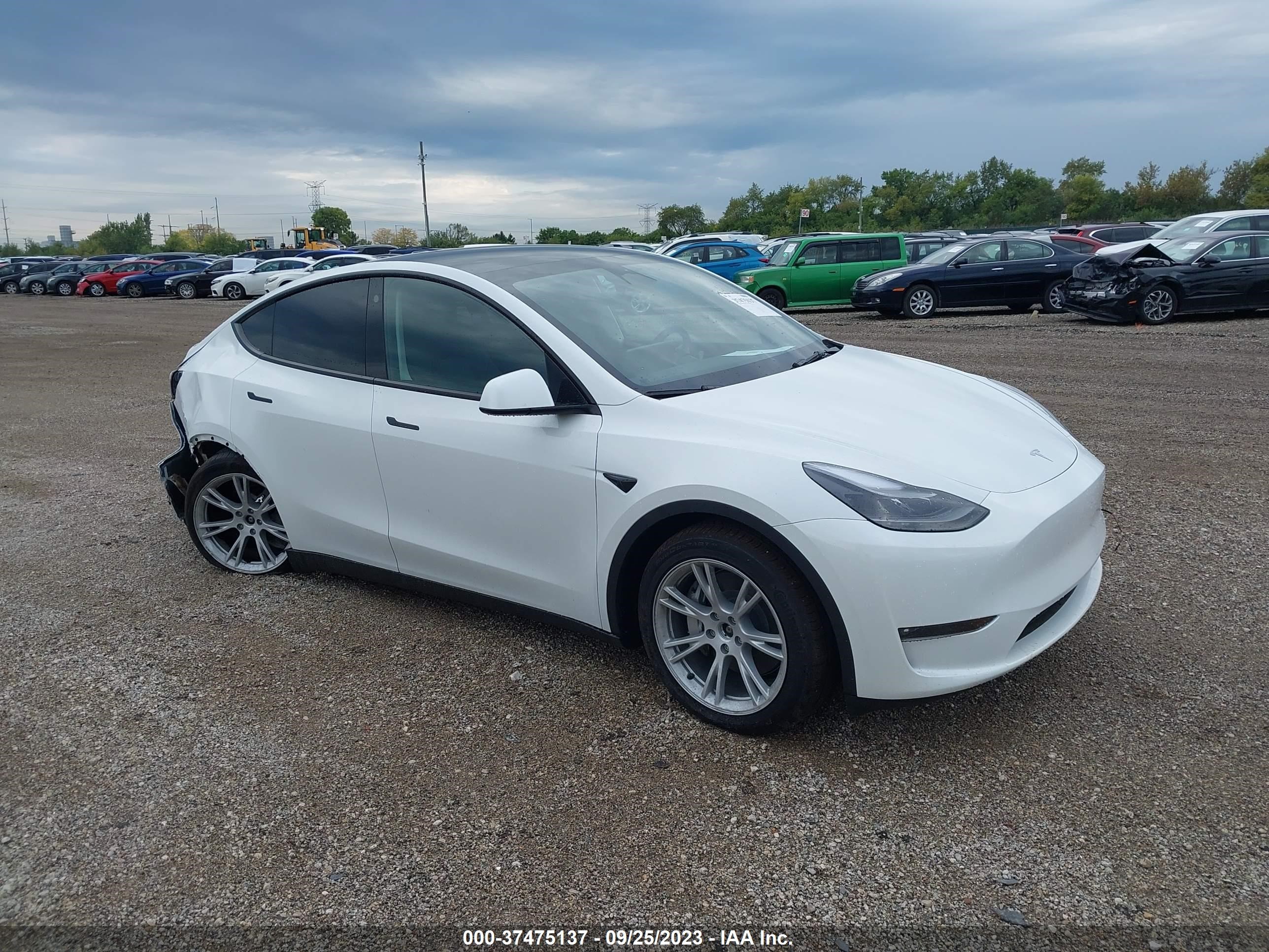 TESLA MODEL Y 2023 7saygdee4pf766886