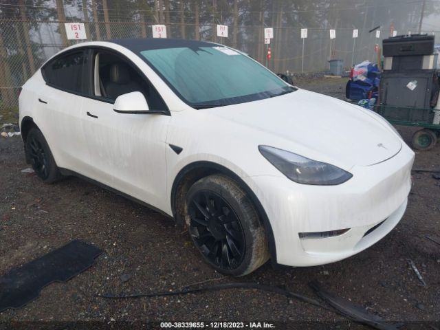 TESLA MODEL Y 2023 7saygdee4pf776592