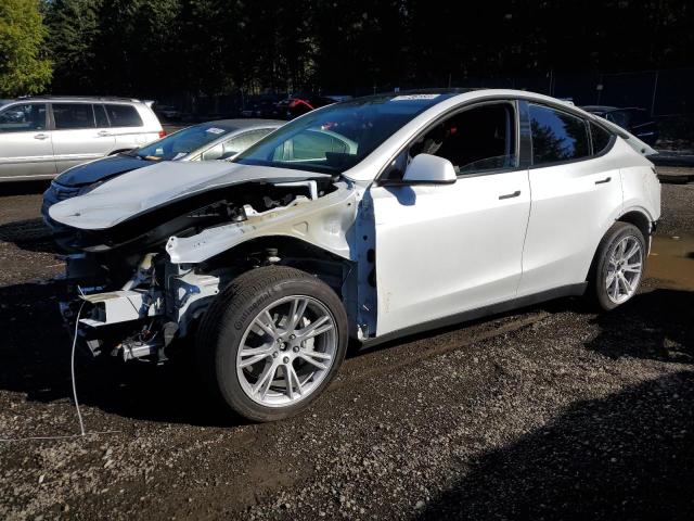 TESLA MODEL Y 2023 7saygdee4pf783932