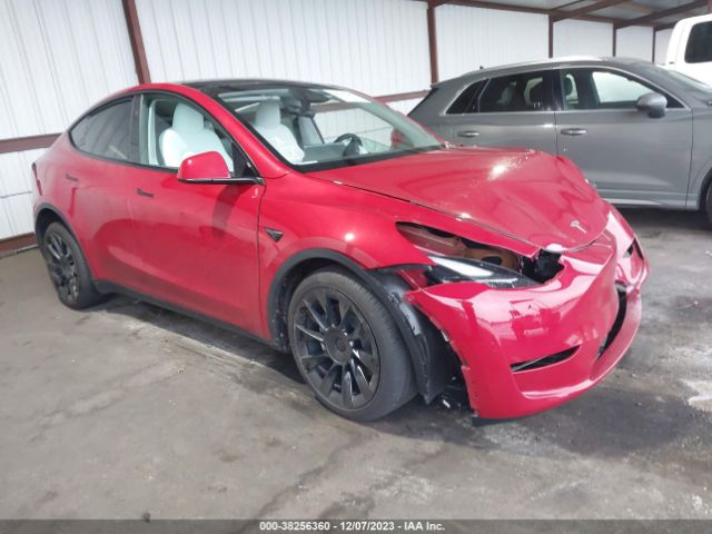 TESLA MODEL Y 2023 7saygdee4pf815083