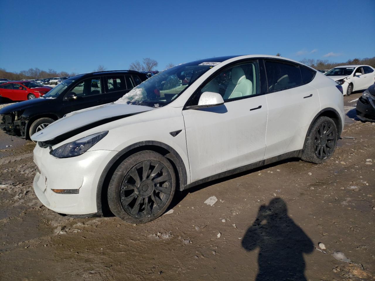 TESLA MODEL Y 2023 7saygdee4pf841876