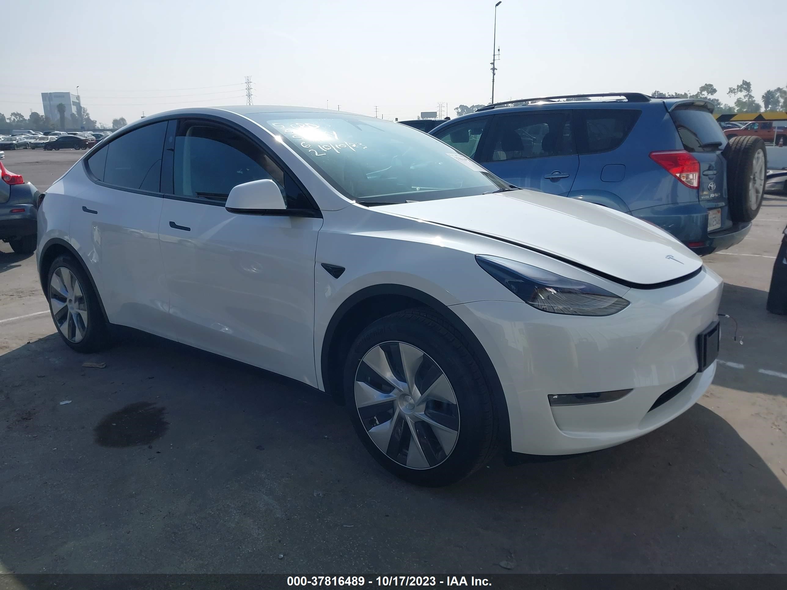 TESLA MODEL Y 2023 7saygdee4pf869032