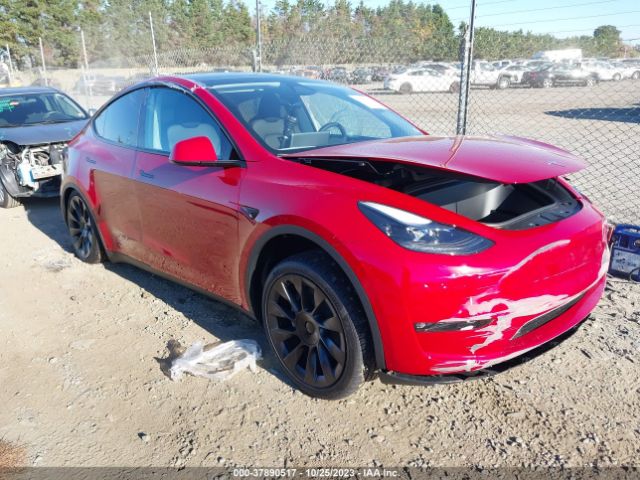 TESLA MODEL Y 2023 7saygdee4pf879589