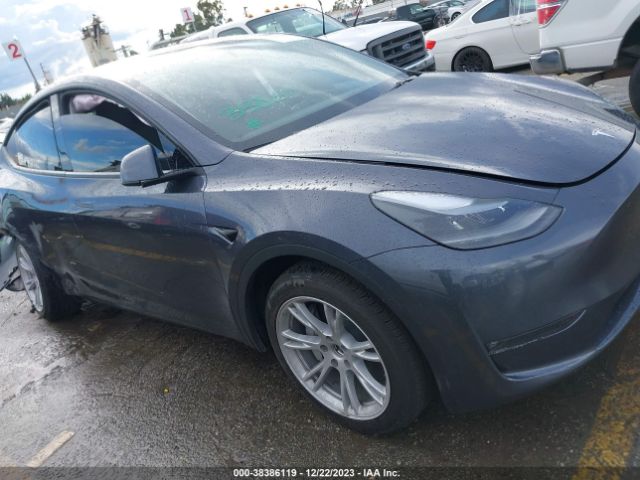 TESLA MODEL Y 2023 7saygdee4pf898756