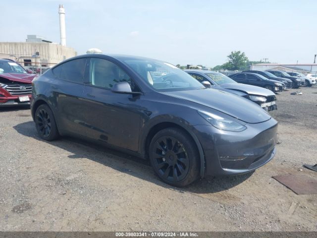 TESLA MODEL Y 2024 7saygdee4ra221819