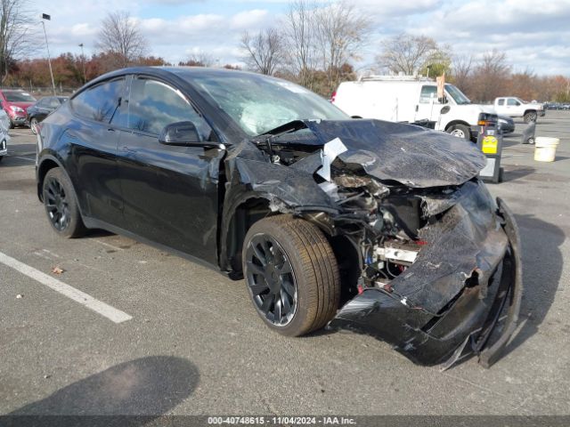 TESLA MODEL Y 2024 7saygdee4ra233940