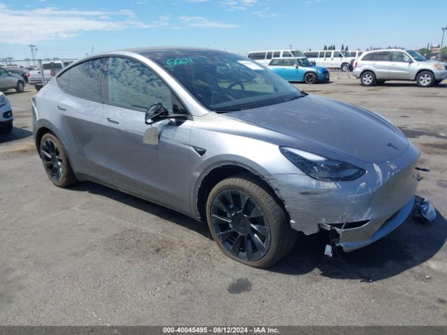 TESLA MODEL Y 2024 7saygdee4ra299825