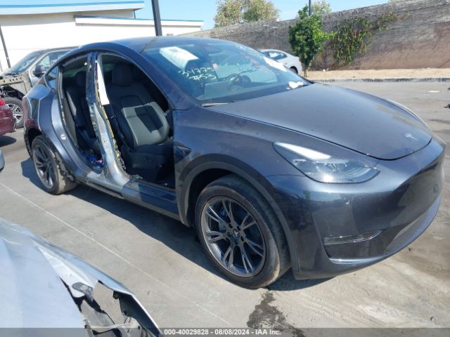 TESLA MODEL Y 2024 7saygdee4rf104292