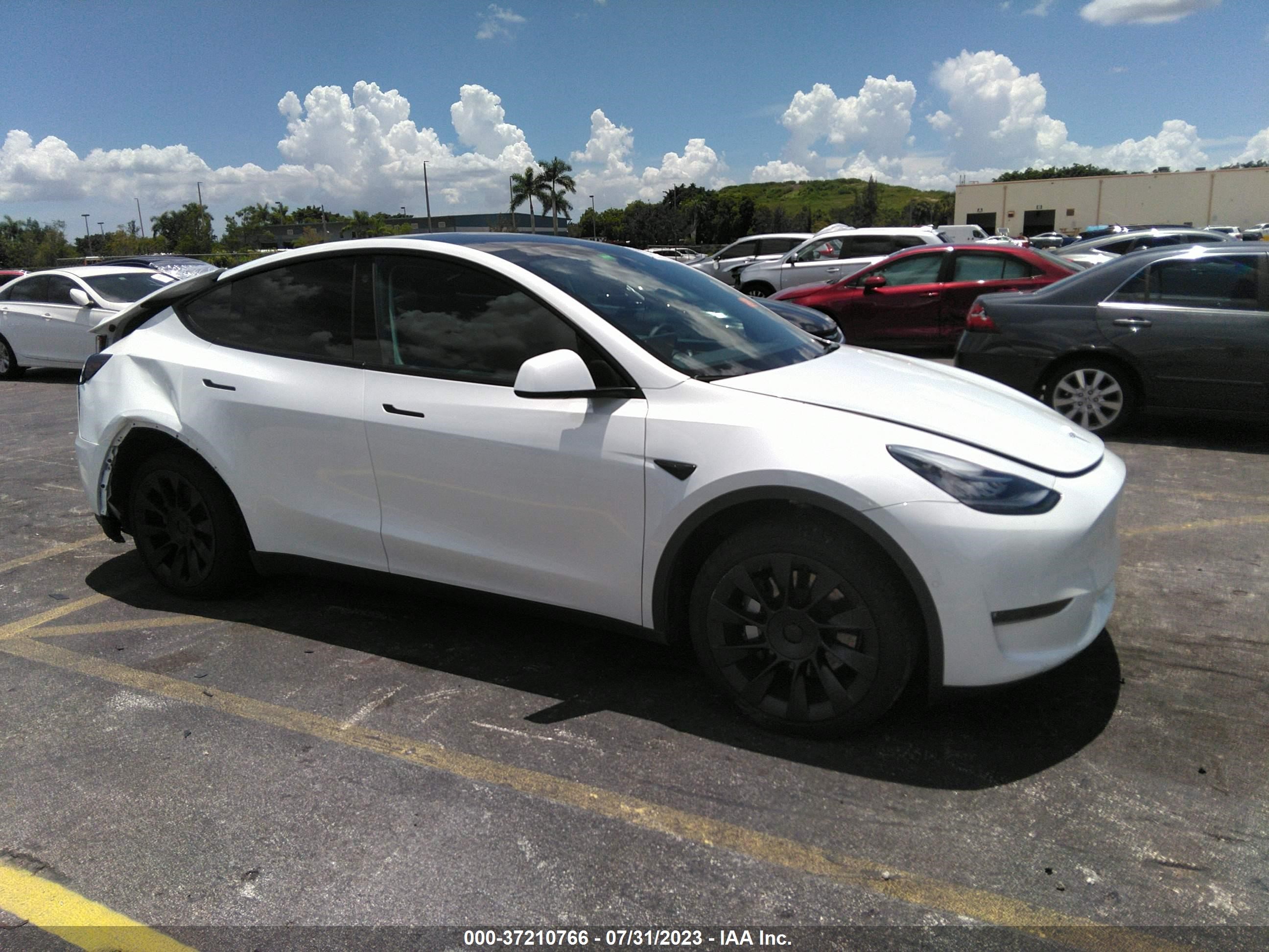 TESLA MODEL Y 2022 7saygdee5na010817