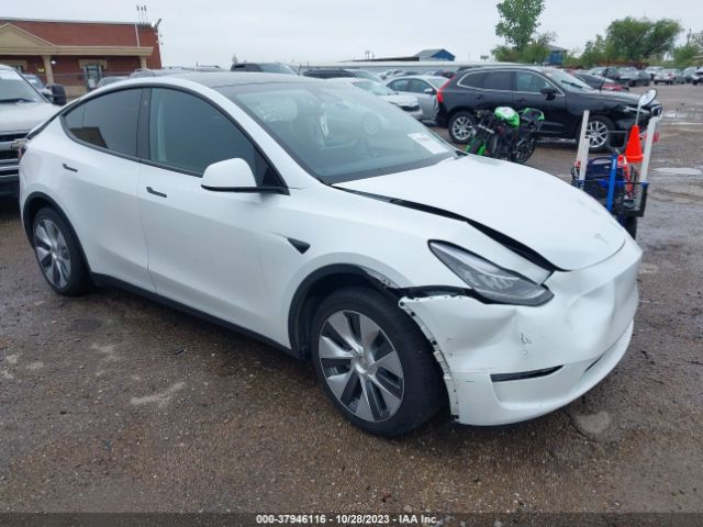 TESLA MODEL Y 2022 7saygdee5na012356