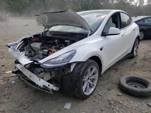 TESLA MODEL Y 2021 7saygdee5nf311090