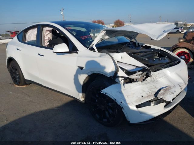 TESLA MODEL Y 2022 7saygdee5nf324244