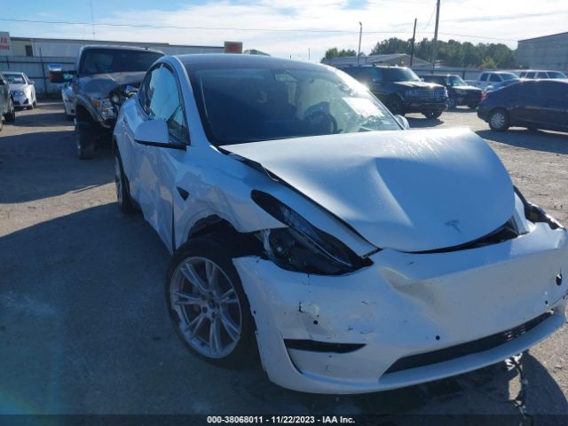 TESLA MODEL Y 2022 7saygdee5nf356272