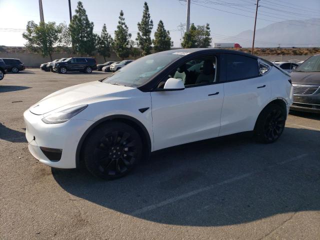 TESLA MODEL Y 2022 7saygdee5nf411495