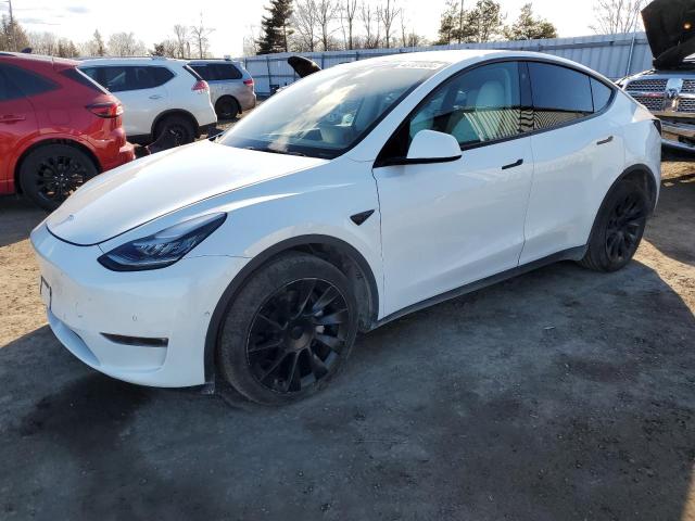 TESLA MODEL Y 2022 7saygdee5nf419225