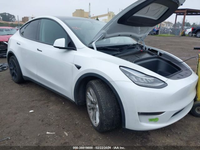 TESLA MODEL Y 2022 7saygdee5nf567844