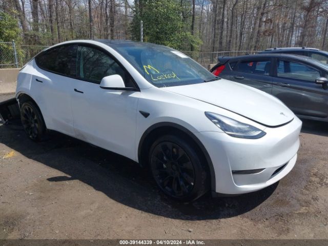 TESLA MODEL Y 2023 7saygdee5pa044713