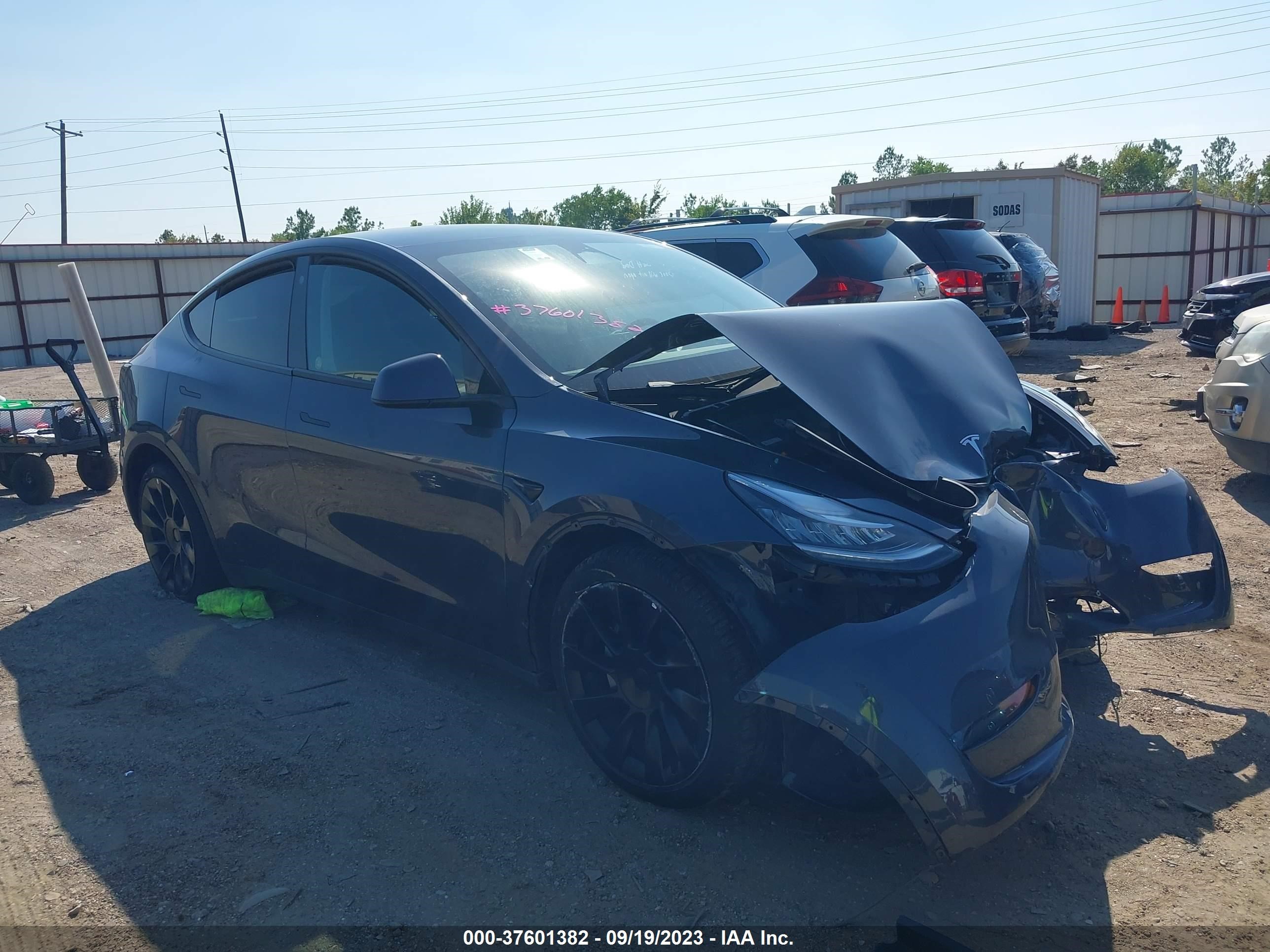 TESLA MODEL Y 2023 7saygdee5pa047384