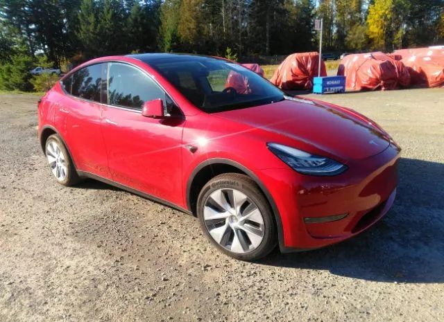 TESLA MODEL Y 2023 7saygdee5pa085746