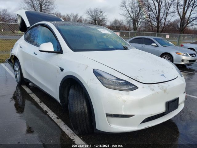 TESLA MODEL Y 2023 7saygdee5pa092485