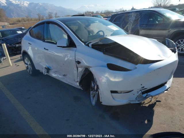 TESLA MODEL Y 2023 7saygdee5pa145055