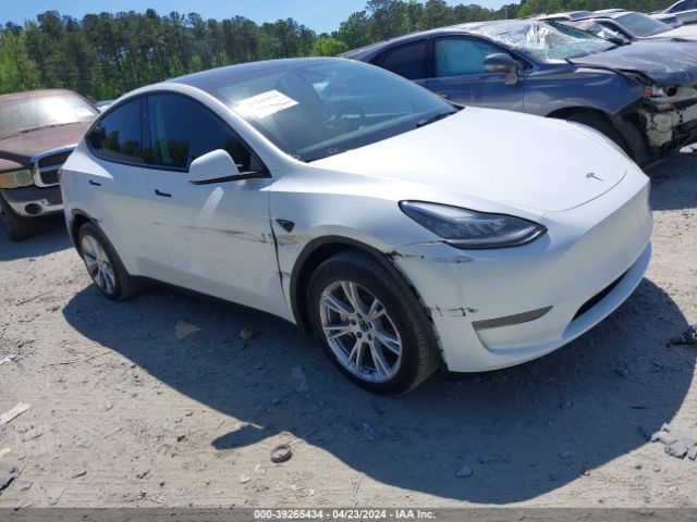 TESLA MODEL Y 2023 7saygdee5pa161854