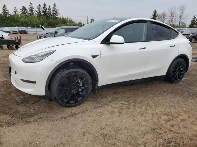 TESLA MODEL Y 2023 7saygdee5pf585117